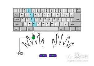 打字時(shí)手指的正確放置方法
