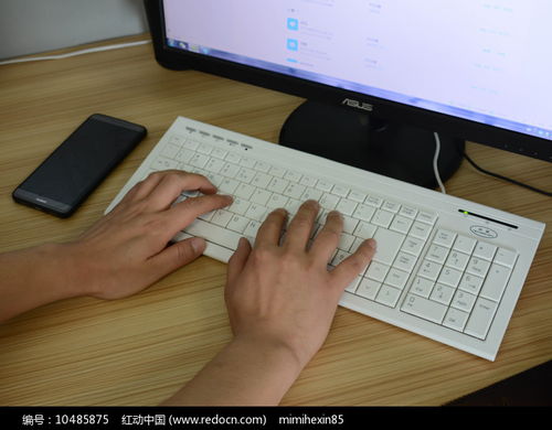 男性之手 連接數(shù)字世界，服務(wù)會展未來